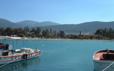 Villas For Sale in Akbuk Turkey